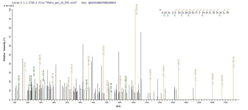Based on the SEQUEST from database of E.coli host and target protein, the LC-MS/MS Analysis result of this product could indicate that this peptide derived from E.coli-expressed Homo sapiens (Human) NEFL.Recombinant Human Neurofilament Light Polypeptide (NEFL) Protein (His-SUMO&Myc)