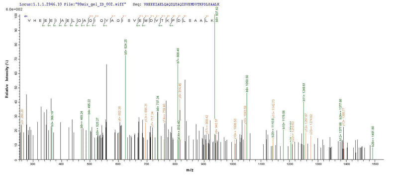 Based on the SEQUEST from database of E.coli host and target protein, the LC-MS/MS Analysis result of this product could indicate that this peptide derived from E.coli-expressed Homo sapiens (Human) NEFL.Recombinant Human Neurofilament Light Polypeptide (NEFL) Protein (His-SUMO&Myc)