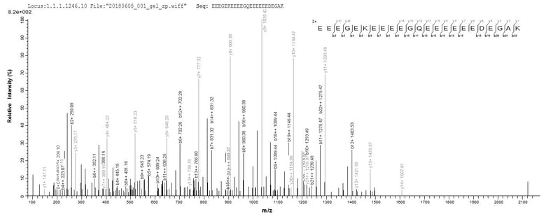 Based on the SEQUEST from database of E.coli host and target protein, the LC-MS/MS Analysis result of this product could indicate that this peptide derived from E.coli-expressed Homo sapiens (Human) NEFM.Recombinant Human Neurofilament Medium Polypeptide (NEFM) Protein (His&Myc)