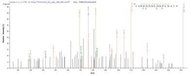 Based on the SEQUEST from database of E.coli host and target protein, the LC-MS/MS Analysis result of this product could indicate that this peptide derived from E.coli-expressed Homo sapiens (Human) NKX2-1.
