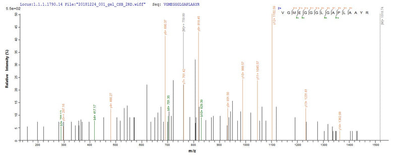 Based on the SEQUEST from database of E.coli host and target protein, the LC-MS/MS Analysis result of this product could indicate that this peptide derived from E.coli-expressed Homo sapiens (Human) NKX2-1.Recombinant Human Homeobox Protein Nkx-2.1 (NKX2-1) Protein (His&Myc)