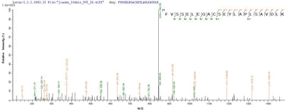 Based on the SEQUEST from database of E.coli host and target protein, the LC-MS/MS Analysis result of this product could indicate that this peptide derived from E.coli-expressed Homo sapiens (Human) NPR2.Recombinant Human Atrial Natriuretic Peptide Receptor 2 (NPR2) Protein (His-SUMO)