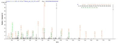 Based on the SEQUEST from database of E.coli host and target protein, the LC-MS/MS Analysis result of this product could indicate that this peptide derived from E.coli-expressed Homo sapiens (Human) NR1I2.Recombinant Human Nuclear Receptor Subfamily 1 Group I Member 2 (NR1I2) Protein (His-SUMO&Myc)