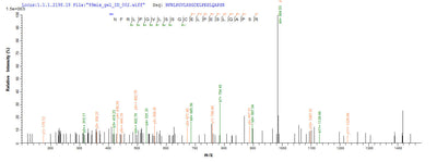 Based on the SEQUEST from database of E.coli host and target protein, the LC-MS/MS Analysis result of this product could indicate that this peptide derived from E.coli-expressed Homo sapiens (Human) NR1I2.Recombinant Human Nuclear Receptor Subfamily 1 Group I Member 2 (NR1I2) Protein (His-SUMO&Myc)