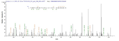Based on the SEQUEST from database of E.coli host and target protein, the LC-MS/MS Analysis result of this product could indicate that this peptide derived from E.coli-expressed Homo sapiens (Human) Nr2c2.Recombinant Human Nuclear Receptor Subfamily 2 Group C Member 2 (NR2C2) Protein (His)