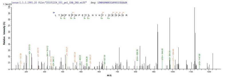Based on the SEQUEST from database of E.coli host and target protein, the LC-MS/MS Analysis result of this product could indicate that this peptide derived from E.coli-expressed Homo sapiens (Human) Nr2c2.Recombinant Human Nuclear Receptor Subfamily 2 Group C Member 2 (NR2C2) Protein (His)