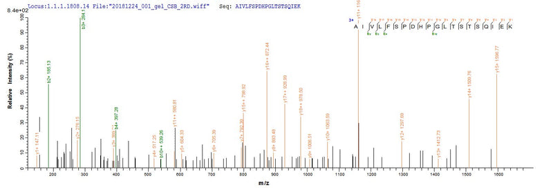 Based on the SEQUEST from database of E.coli host and target protein, the LC-MS/MS Analysis result of this product could indicate that this peptide derived from E.coli-expressed Homo sapiens (Human) Nr2c2.Recombinant Human Nuclear Receptor Subfamily 2 Group C Member 2 (NR2C2) Protein (His)