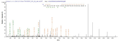 Based on the SEQUEST from database of E.coli host and target protein, the LC-MS/MS Analysis result of this product could indicate that this peptide derived from E.coli-expressed Homo sapiens (Human) NR2F6.Recombinant Human Nuclear Receptor Subfamily 2 Group F Member 6 (NR2F6) Protein (His-SUMO)