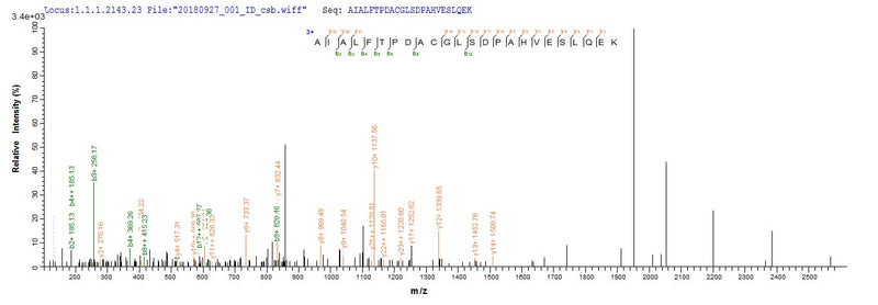 Based on the SEQUEST from database of E.coli host and target protein, the LC-MS/MS Analysis result of this product could indicate that this peptide derived from E.coli-expressed Homo sapiens (Human) NR2F6.Recombinant Human Nuclear Receptor Subfamily 2 Group F Member 6 (NR2F6) Protein (His-SUMO)
