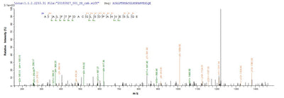 Based on the SEQUEST from database of E.coli host and target protein, the LC-MS/MS Analysis result of this product could indicate that this peptide derived from E.coli-expressed Homo sapiens (Human) NR2F6.Recombinant Human Nuclear Receptor Subfamily 2 Group F Member 6 (NR2F6) Protein (His-SUMO)