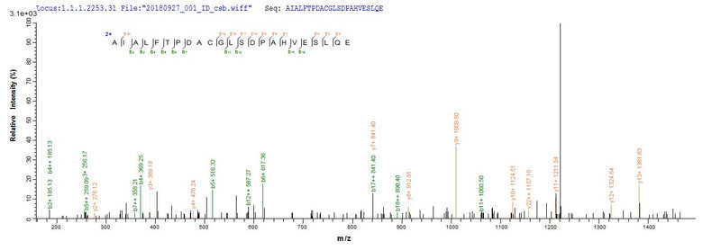 Based on the SEQUEST from database of E.coli host and target protein, the LC-MS/MS Analysis result of this product could indicate that this peptide derived from E.coli-expressed Homo sapiens (Human) NR2F6.Recombinant Human Nuclear Receptor Subfamily 2 Group F Member 6 (NR2F6) Protein (His-SUMO)