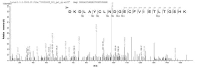 Based on the SEQUEST from database of E.coli host and target protein, the LC-MS/MS Analysis result of this product could indicate that this peptide derived from E.coli-expressed Homo sapiens (Human) NRG3.Recombinant Human Pro-Neuregulin-3, Membrane-Bound Isoform (NRG3) Protein (His-SUMO)
