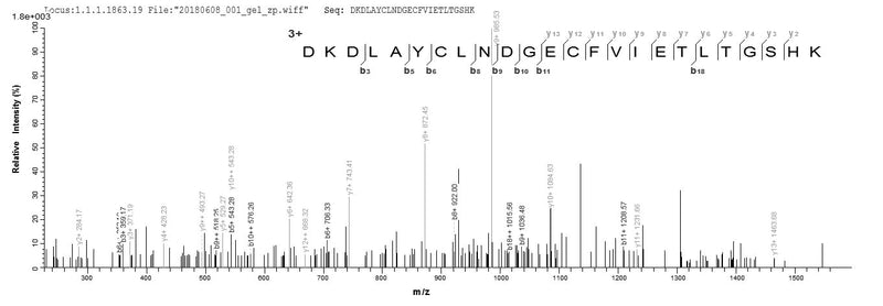 Based on the SEQUEST from database of E.coli host and target protein, the LC-MS/MS Analysis result of this product could indicate that this peptide derived from E.coli-expressed Homo sapiens (Human) NRG3.Recombinant Human Pro-Neuregulin-3, Membrane-Bound Isoform (NRG3) Protein (His-SUMO)