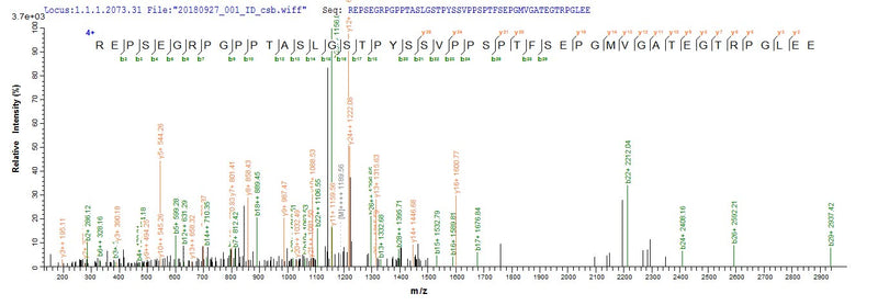 Based on the SEQUEST from database of E.coli host and target protein, the LC-MS/MS Analysis result of this product could indicate that this peptide derived from E.coli-expressed Homo sapiens (Human) NRL.Recombinant Human Neural Retina-Specific Leucine Zipper Protein (NRL) Protein (His&Myc)