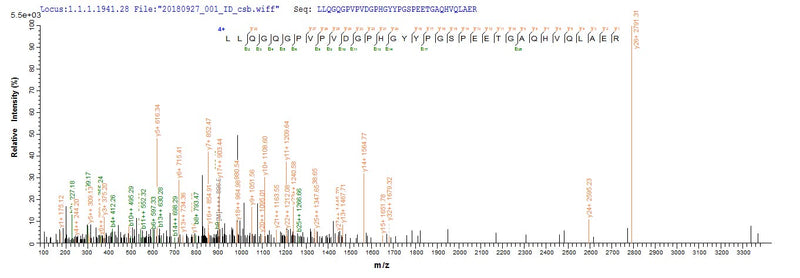 Based on the SEQUEST from database of E.coli host and target protein, the LC-MS/MS Analysis result of this product could indicate that this peptide derived from E.coli-expressed Homo sapiens (Human) NRL.Recombinant Human Neural Retina-Specific Leucine Zipper Protein (NRL) Protein (His&Myc)