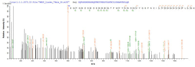Based on the SEQUEST from database of E.coli host and target protein, the LC-MS/MS Analysis result of this product could indicate that this peptide derived from E.coli-expressed Human herpesvirus 2 (strain HG52) (HHV-2) (Human herpes simplex virus 2) ODC1 .Recombinant Human Ornithine Decarboxylase (ODC1) Protein (His-SUMO&Myc)