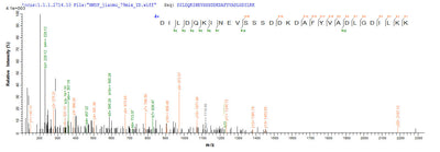 Based on the SEQUEST from database of E.coli host and target protein, the LC-MS/MS Analysis result of this product could indicate that this peptide derived from E.coli-expressed Human herpesvirus 2 (strain HG52) (HHV-2) (Human herpes simplex virus 2) ODC1 .Recombinant Human Ornithine Decarboxylase (ODC1) Protein (His-SUMO&Myc)