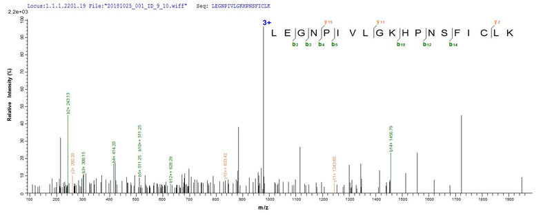 Based on the SEQUEST from database of E.coli host and target protein, the LC-MS/MS Analysis result of this product could indicate that this peptide derived from E.coli-expressed Homo sapiens (Human) OGN.