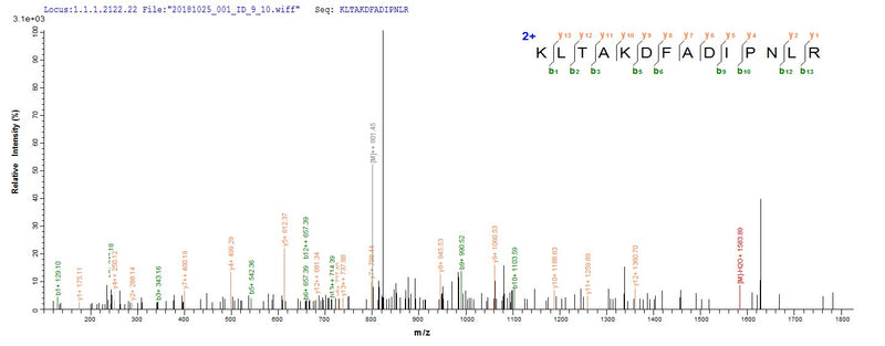 Based on the SEQUEST from database of E.coli host and target protein, the LC-MS/MS Analysis result of this product could indicate that this peptide derived from E.coli-expressed Homo sapiens (Human) OGN.