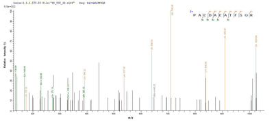 Based on the SEQUEST from database of E.coli host and target protein, the LC-MS/MS Analysis result of this product could indicate that this peptide derived from E.coli-expressed Homo sapiens (Human) OXT.Recombinant Human Oxytocin-Neurophysin 1 (OXT) Protein (His-SUMO&Myc)
