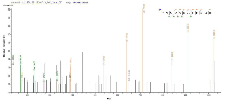 Based on the SEQUEST from database of E.coli host and target protein, the LC-MS/MS Analysis result of this product could indicate that this peptide derived from E.coli-expressed Homo sapiens (Human) OXT.Recombinant Human Oxytocin-Neurophysin 1 (OXT) Protein (His-SUMO&Myc)