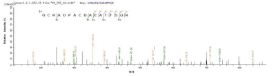 Based on the SEQUEST from database of E.coli host and target protein, the LC-MS/MS Analysis result of this product could indicate that this peptide derived from E.coli-expressed Homo sapiens (Human) OXT.Recombinant Human Oxytocin-Neurophysin 1 (OXT) Protein (His-SUMO&Myc)