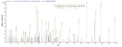 Based on the SEQUEST from database of E.coli host and target protein, the LC-MS/MS Analysis result of this product could indicate that this peptide derived from E.coli-expressed Homo sapiens (Human) P4HA1.Recombinant Human Prolyl 4-Hydroxylase Subunit Alpha-1 (P4HA1) Protein (His)