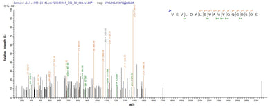 Based on the SEQUEST from database of E.coli host and target protein, the LC-MS/MS Analysis result of this product could indicate that this peptide derived from E.coli-expressed Homo sapiens (Human) P4HA1.Recombinant Human Prolyl 4-Hydroxylase Subunit Alpha-1 (P4HA1) Protein (His)