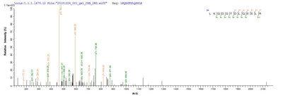 Based on the SEQUEST from database of E.coli host and target protein, the LC-MS/MS Analysis result of this product could indicate that this peptide derived from E.coli-expressed Mus musculus (Mouse) Pcnt.