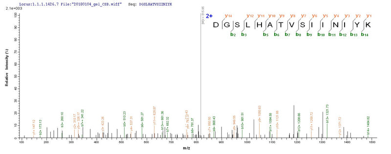 Based on the SEQUEST from database of E.coli host and target protein, the LC-MS/MS Analysis result of this product could indicate that this peptide derived from E.coli-expressed Homo sapiens (Human) PCOLCE2.