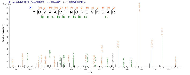 Based on the SEQUEST from database of E.coli host and target protein, the LC-MS/MS Analysis result of this product could indicate that this peptide derived from E.coli-expressed Homo sapiens (Human) PCOLCE2.