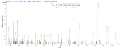Based on the SEQUEST from database of E.coli host and target protein, the LC-MS/MS Analysis result of this product could indicate that this peptide derived from E.coli-expressed Mus musculus (Mouse) Pdxp.Recombinant Mouse Pyridoxal Phosphate Phosphatase (PDXP) Protein (His-SUMO)