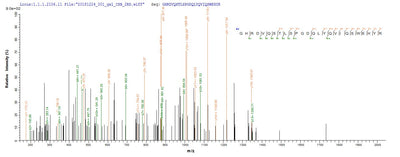 Based on the SEQUEST from database of E.coli host and target protein, the LC-MS/MS Analysis result of this product could indicate that this peptide derived from E.coli-expressed Mus musculus (Mouse) Pglyrp1.