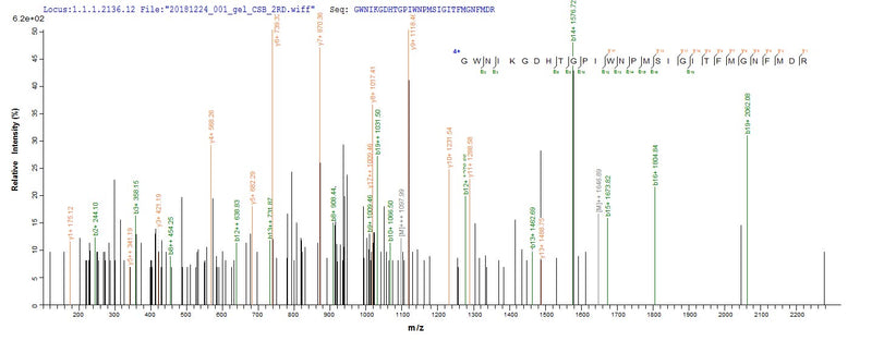 Based on the SEQUEST from database of E.coli host and target protein, the LC-MS/MS Analysis result of this product could indicate that this peptide derived from E.coli-expressed Mus musculus (Mouse) Pglyrp1.