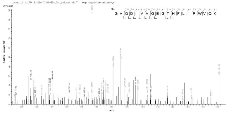 Based on the SEQUEST from database of E.coli host and target protein, the LC-MS/MS Analysis result of this product could indicate that this peptide derived from E.coli-expressed Mus musculus (Mouse) Phb.Recombinant Mouse Prohibitin (PHB) Protein (His)