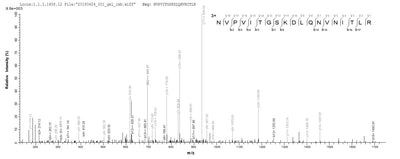 Based on the SEQUEST from database of E.coli host and target protein, the LC-MS/MS Analysis result of this product could indicate that this peptide derived from E.coli-expressed Mus musculus (Mouse) Phb.Recombinant Mouse Prohibitin (PHB) Protein (His)