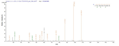 Based on the SEQUEST from database of E.coli host and target protein, the LC-MS/MS Analysis result of this product could indicate that this peptide derived from E.coli-expressed Mus musculus (Mouse) Pkm.Recombinant Mouse Pyruvate Kinase Pkm (PKM) Protein (His&Myc)