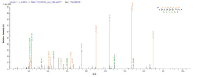 Based on the SEQUEST from database of E.coli host and target protein, the LC-MS/MS Analysis result of this product could indicate that this peptide derived from E.coli-expressed Mus musculus (Mouse) Pkm.Recombinant Mouse Pyruvate Kinase Pkm (PKM) Protein (His&Myc)