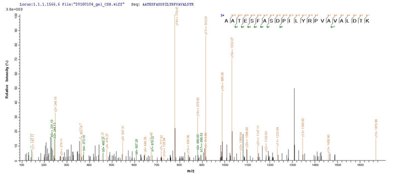Based on the SEQUEST from database of E.coli host and target protein, the LC-MS/MS Analysis result of this product could indicate that this peptide derived from E.coli-expressed Rattus norvegicus (Rat) Pkm.Recombinant Rat Pyruvate Kinase Pkm (PKM) Protein (His&Myc)