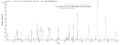 Based on the SEQUEST from database of E.coli host and target protein, the LC-MS/MS Analysis result of this product could indicate that this peptide derived from E.coli-expressed Rattus norvegicus (Rat) Pkm.Recombinant Rat Pyruvate Kinase Pkm (PKM) Protein (His&Myc)