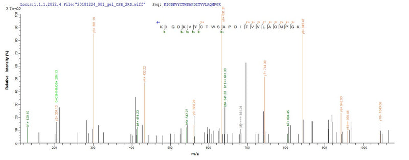 Based on the SEQUEST from database of E.coli host and target protein, the LC-MS/MS Analysis result of this product could indicate that this peptide derived from E.coli-expressed Mus musculus (Mouse) Pmaip1.
