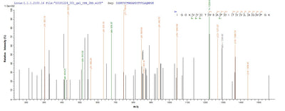 Based on the SEQUEST from database of E.coli host and target protein, the LC-MS/MS Analysis result of this product could indicate that this peptide derived from E.coli-expressed Mus musculus (Mouse) Pmaip1.