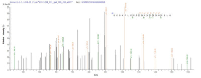 Based on the SEQUEST from database of E.coli host and target protein, the LC-MS/MS Analysis result of this product could indicate that this peptide derived from E.coli-expressed Homo sapiens (Human) PML.Recombinant Human Protein Pml (PML) Protein (His&Myc)