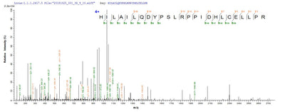 Based on the SEQUEST from database of E.coli host and target protein, the LC-MS/MS Analysis result of this product could indicate that this peptide derived from E.coli-expressed Mus musculus (Mouse) Por.Recombinant Mouse Nadph--Cytochrome P450 Reductase (POR) Protein (His)