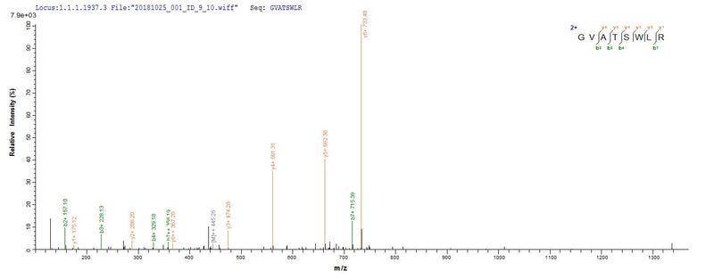 Based on the SEQUEST from database of E.coli host and target protein, the LC-MS/MS Analysis result of this product could indicate that this peptide derived from E.coli-expressed Mus musculus (Mouse) Por.Recombinant Mouse Nadph--Cytochrome P450 Reductase (POR) Protein (His)