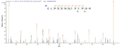 Based on the SEQUEST from database of E.coli host and target protein, the LC-MS/MS Analysis result of this product could indicate that this peptide derived from E.coli-expressed Mus musculus (Mouse) Tmprss15.Recombinant Mouse Enteropeptidase (TMPRSS15) Protein (His-SUMO)