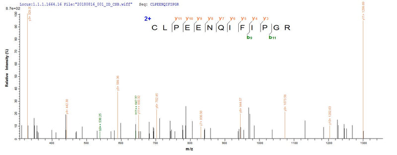 Based on the SEQUEST from database of E.coli host and target protein, the LC-MS/MS Analysis result of this product could indicate that this peptide derived from E.coli-expressed Mus musculus (Mouse) Tmprss15.Recombinant Mouse Enteropeptidase (TMPRSS15) Protein (His-SUMO)