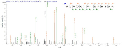 Based on the SEQUEST from database of E.coli host and target protein, the LC-MS/MS Analysis result of this product could indicate that this peptide derived from E.coli-expressed Mus musculus (Mouse) Tmprss15.Recombinant Mouse Enteropeptidase (TMPRSS15) Protein (His-SUMO)