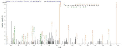 Based on the SEQUEST from database of E.coli host and target protein, the LC-MS/MS Analysis result of this product could indicate that this peptide derived from E.coli-expressed Homo sapiens (Human) PSIP1.Recombinant Human Pc4 And Sfrs1-Interacting Protein (PSIP1) Protein (His-SUMO)