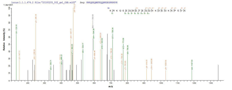 Based on the SEQUEST from database of E.coli host and target protein, the LC-MS/MS Analysis result of this product could indicate that this peptide derived from E.coli-expressed Homo sapiens (Human) PSIP1.Recombinant Human Pc4 And Sfrs1-Interacting Protein (PSIP1) Protein (His-SUMO)